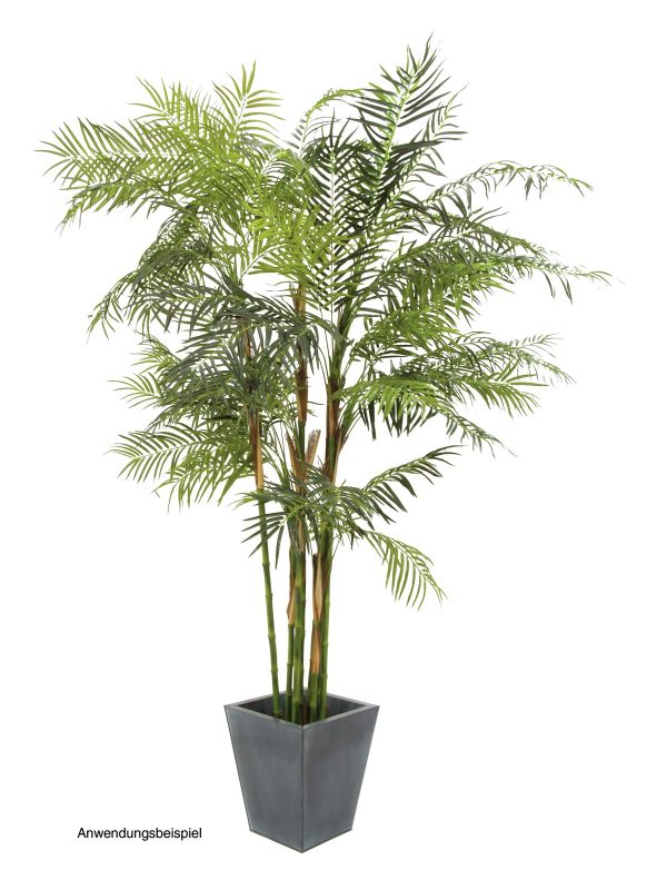 cycas-artificiel