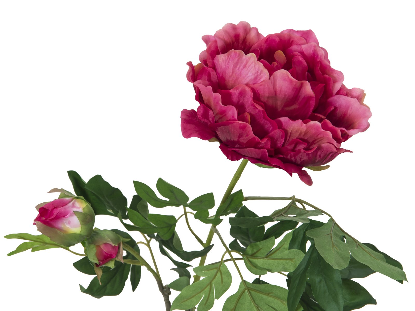 Pivoine Artificielle Géante, 100cm | Floranet