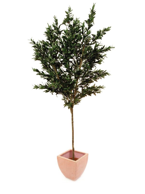 olive-artificiel-250cm