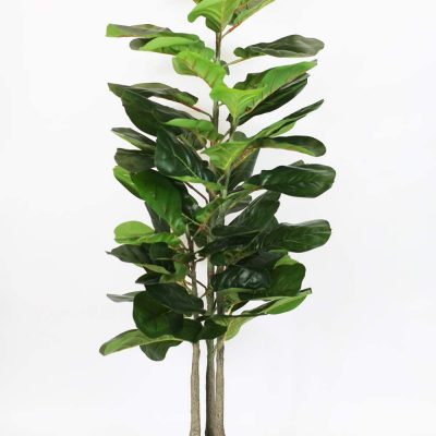 ficus-lyrata-artificiel