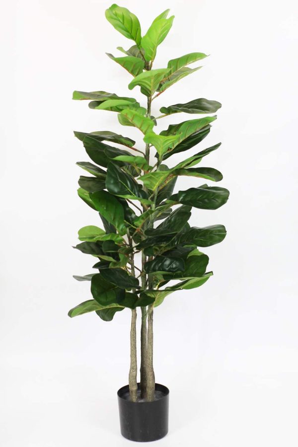 ficus-lyrata-artificiel