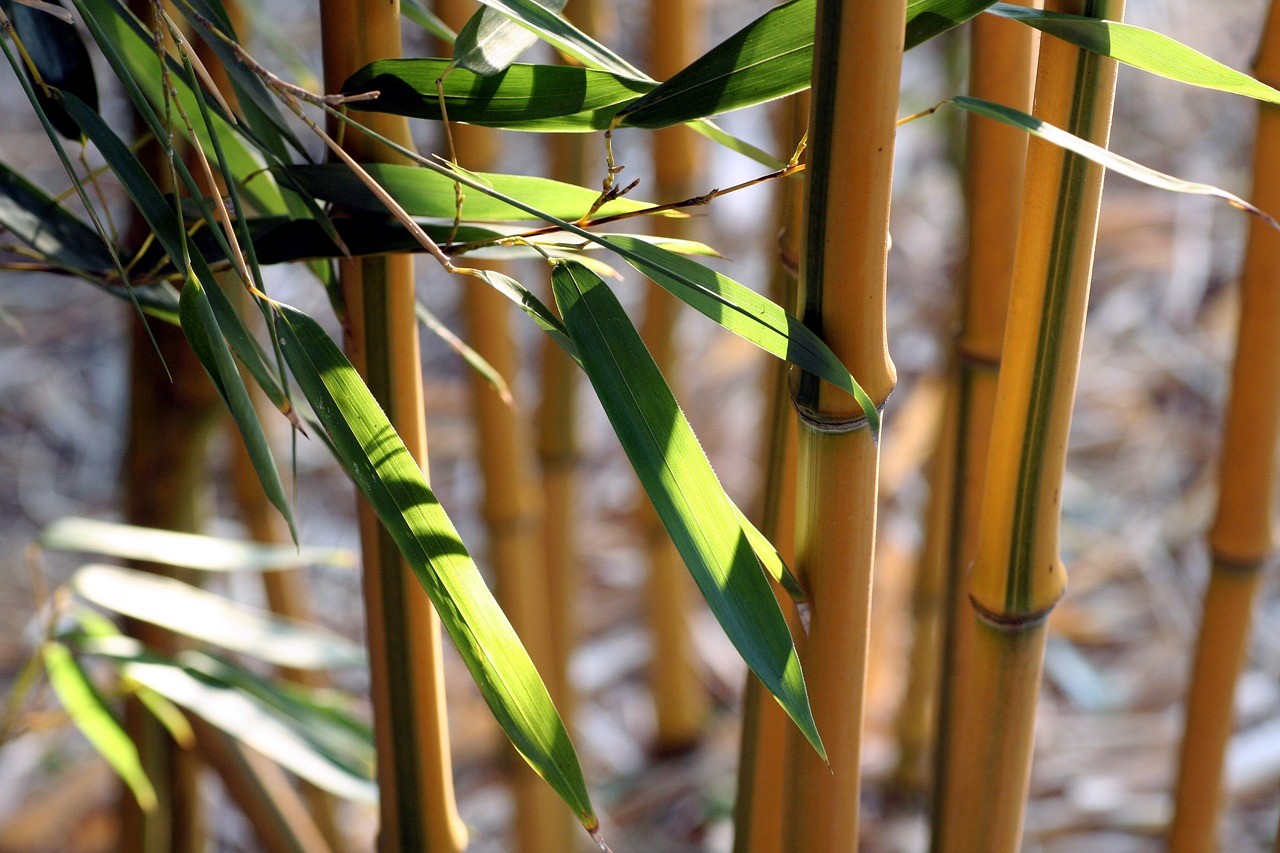comment-creer-ambiance-zen-bambous-artificiels