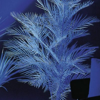palmier-kentia-artificiel-lumineux-90cm