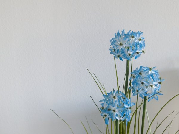 Alium Artificiel Bleu-120cm – Image 6