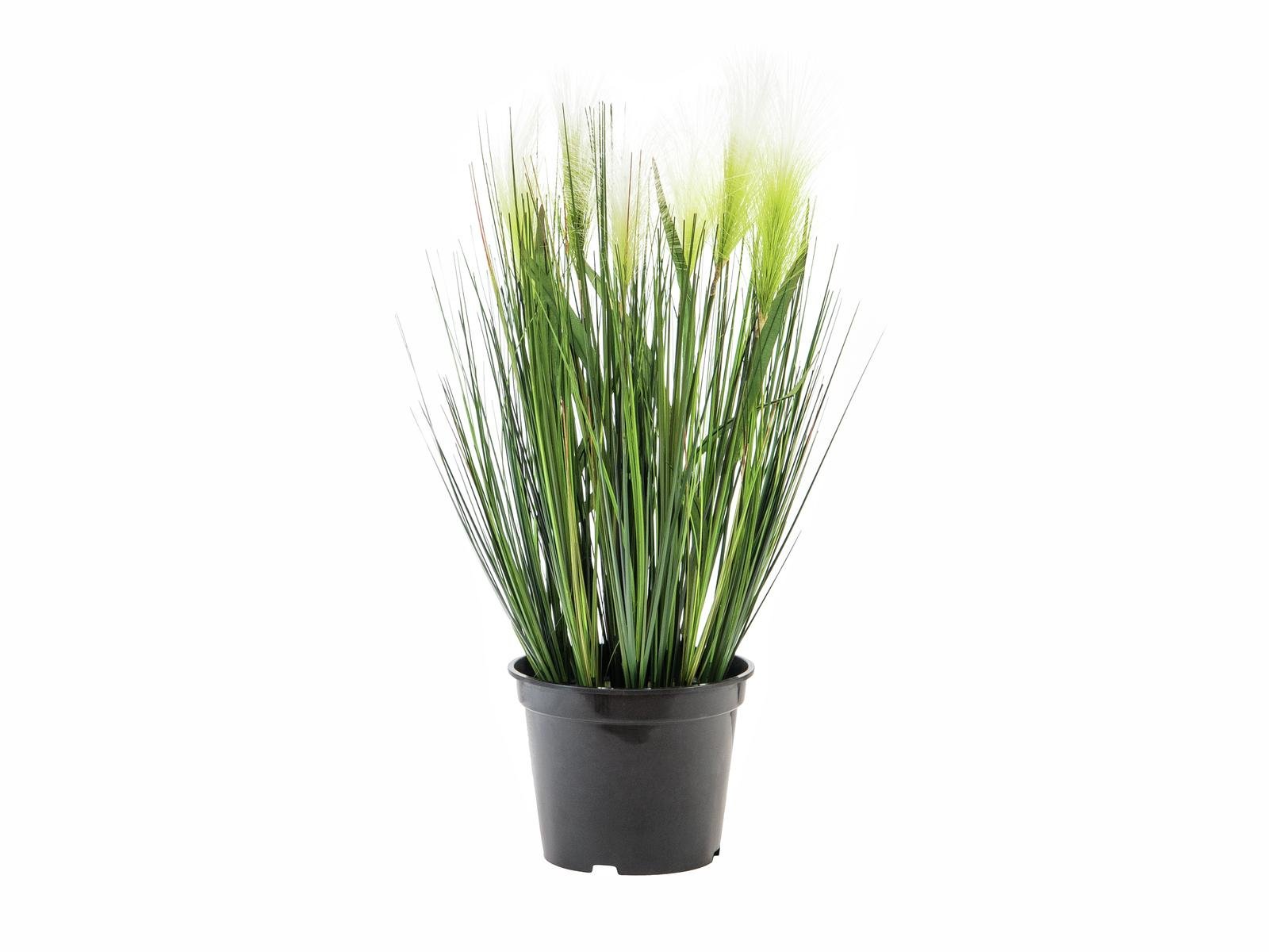 Herbe De La Pampa Artificielle-60cm | Floranet