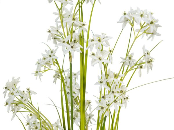 jasmin-artificiel-2