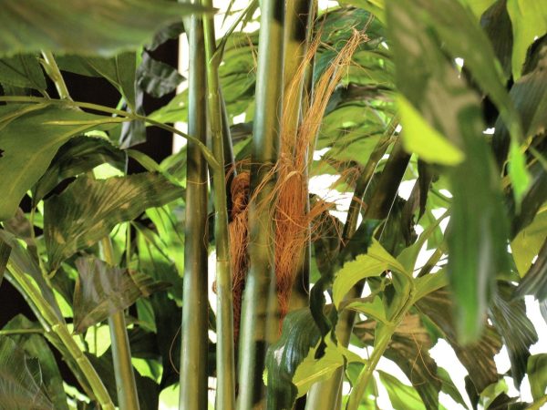 palmier-karyota-artificiel-305cm-2
