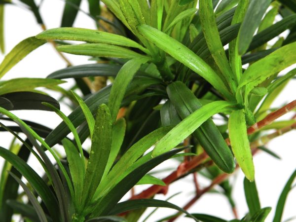 Podocarpus Artificiel-90cm – Image 3
