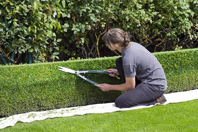 Quel prix prévoir pour l'entretien d'un jardin ?