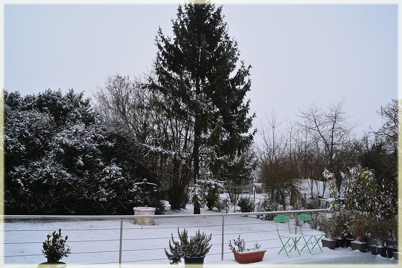 comment-entretenir-jardin-hiver