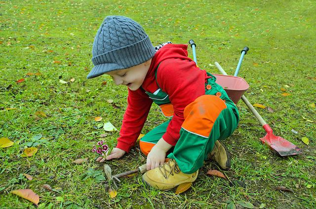 Comment entretenir un petit jardin ?