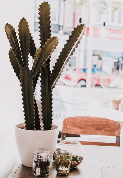 faux-cactus-déco